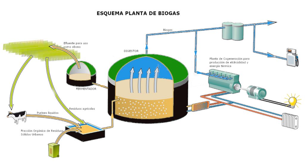 como se produce el biogas