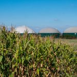 Planta de Biogás: Ventajas y Desventajas